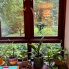 Photo 3: Room with a view 