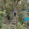 Photo 4: Go Ape