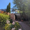 Photo 5: Shared Garden