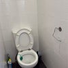 Photo 3: Toilet 1