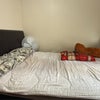 Photo 1: Double bed