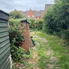 Photo 4: Back yard