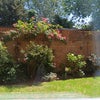 Photo 5: View from window 