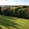 Photo 13: GARDEN