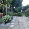 Photo 6: Back garden