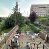 Photo 3: Back garden