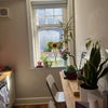 Photo 5: Kitchen 
