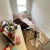Photo 1: Room 2: £277pw with all bills included