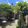 Photo 8: garden