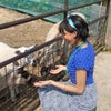 Photo 3: at a small farm in surrey quays, met the cutest sheep 💗