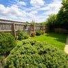Photo 6: Back Garden
