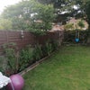 Photo 4: Garden 