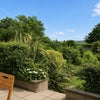 Photo 12: PATIO