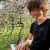 Newton\'s picture