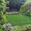 Photo 8: garden