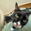 Photo 2: Rascal