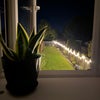 Photo 7: Garden - Night