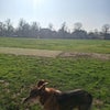 Simon\'s picture