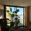 Photo 5: Balcony
