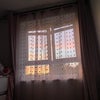 Photo 1: View from room