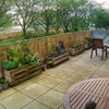 Photo 6: leafy green terrace