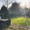 Photo 8: Garden