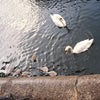 Photo 3: Friendly visitors