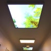 Photo 6: Hallway
