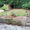 Photo 9: Back garden 