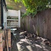 Photo 8: Patio
