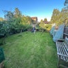Photo 7: Orchard and veg beds