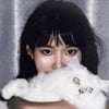 Photograph of 龙葵 