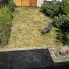 Photo 4: Garden