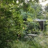 Photo 8: Garden