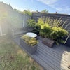 Photo 6: Patio