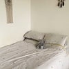 Photo 4: Your room