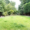 Photo 8: garden 