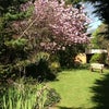 Photo 7: The garden in spring.