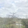 Photo 6: VIEW FROM BEDROOM WINDOW