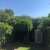 Photo 9: Garden