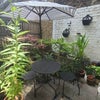Photo 6: Patio