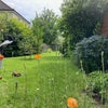 Photo 5: Back garden