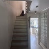 Photo 6: stairs and dog