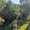 Photo 9: View from balcony