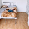 Photo 6: Double room