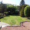 Photo 8: Garden