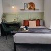 Photo 10: Room 5 - £730pcm - Large ensuite double
