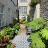 Photo 4: The garden