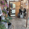 Photo 9: Utility area