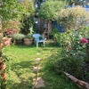 Photo 8: Nice garden to relax